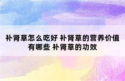 补肾草怎么吃好 补肾草的营养价值有哪些 补肾草的功效